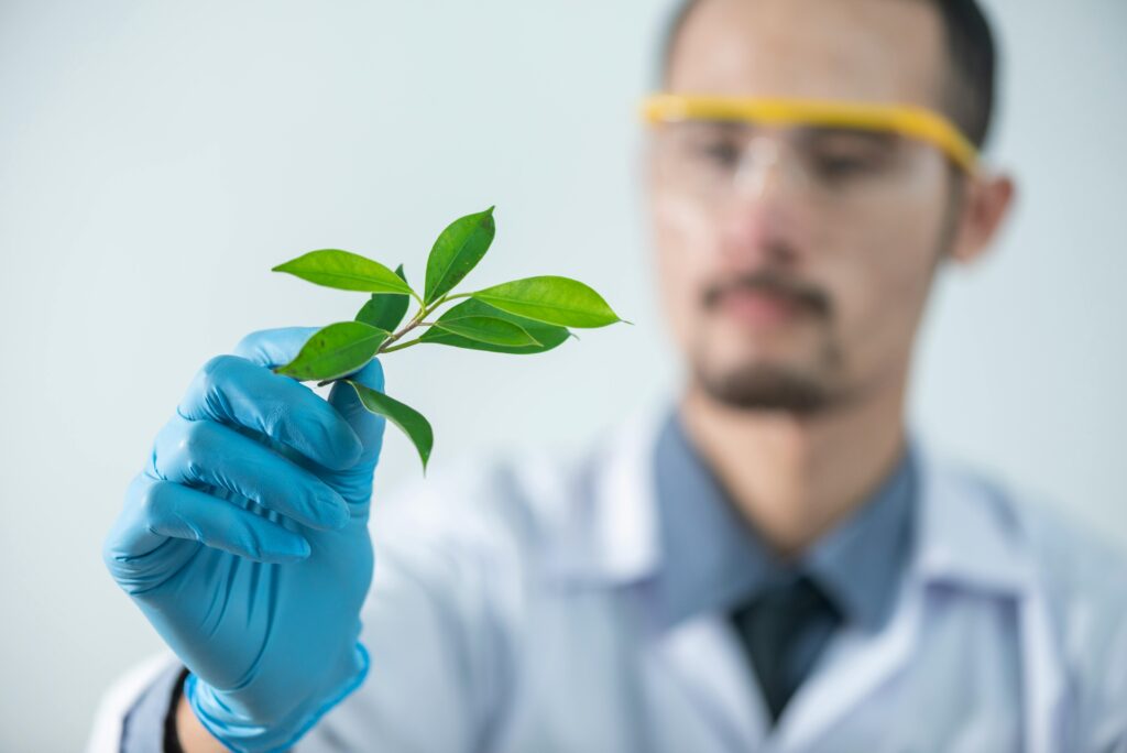 pexels photo 2280551 2280551 Young scientist wearing protective gloves and examining a plant sample in a laboratory setting.